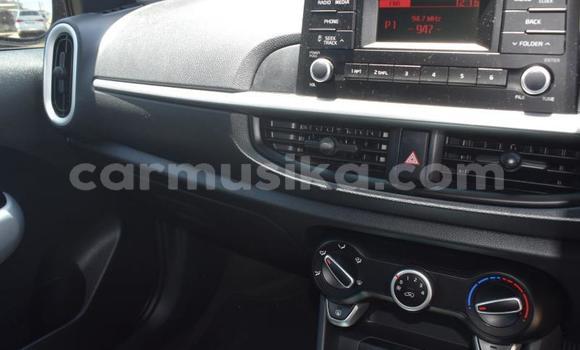 Tenga Tsaru Kia Picanto Zvimwe Mota in Beitbridge in Matabeleland South Tenga Tsaru Kia Picanto Zvimwe Mota in Beitbridge in Matabeleland South