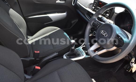 Tenga Tsaru Kia Picanto Zvimwe Mota in Beitbridge in Matabeleland South Tenga Tsaru Kia Picanto Zvimwe Mota in Beitbridge in Matabeleland South