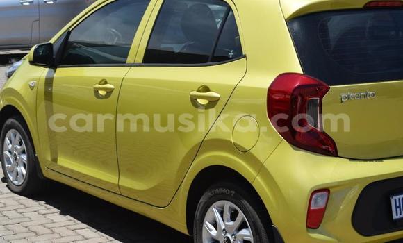 Tenga Tsaru Kia Picanto Zvimwe Mota in Beitbridge in Matabeleland South Tenga Tsaru Kia Picanto Zvimwe Mota in Beitbridge in Matabeleland South