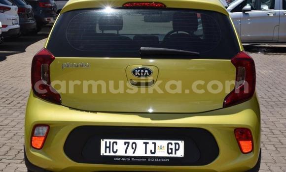 Tenga Tsaru Kia Picanto Zvimwe Mota in Beitbridge in Matabeleland South Tenga Tsaru Kia Picanto Zvimwe Mota in Beitbridge in Matabeleland South