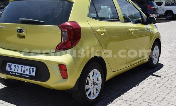 Tenga Tsaru Kia Picanto Zvimwe Mota in Beitbridge in Matabeleland South Tenga Tsaru Kia Picanto Zvimwe Mota in Beitbridge in Matabeleland South