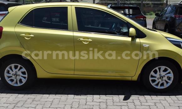 Tenga Tsaru Kia Picanto Zvimwe Mota in Beitbridge in Matabeleland South Tenga Tsaru Kia Picanto Zvimwe Mota in Beitbridge in Matabeleland South