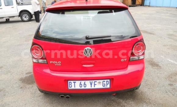 Acheter Occasion Voiture Volkswagen Polo Rouge à Beitbridge, Matabeleland South Acheter Occasion Voiture Volkswagen Polo Rouge à Beitbridge, Matabeleland South