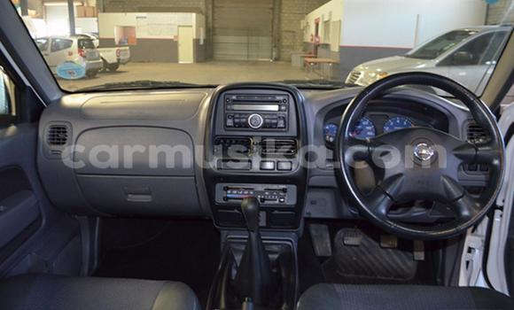 Tenga Tsaru Nissan NP 300 Chena Mota in Beitbridge in Matabeleland South Tenga Tsaru Nissan NP 300 Chena Mota in Beitbridge in Matabeleland South