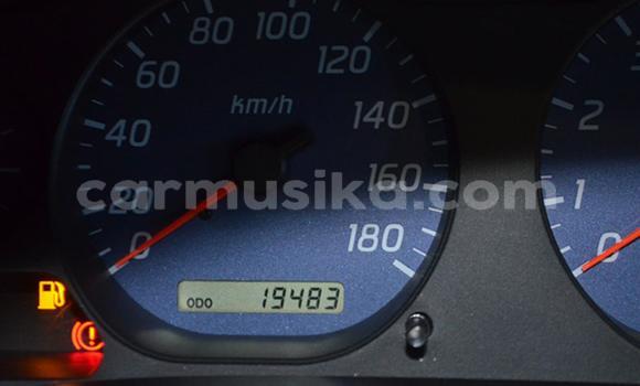 Tenga Tsaru Nissan NP 300 Chena Mota in Beitbridge in Matabeleland South Tenga Tsaru Nissan NP 300 Chena Mota in Beitbridge in Matabeleland South