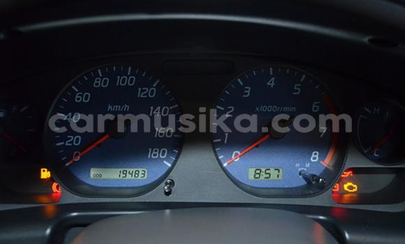 Tenga Tsaru Nissan NP 300 Chena Mota in Beitbridge in Matabeleland South Tenga Tsaru Nissan NP 300 Chena Mota in Beitbridge in Matabeleland South