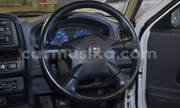Tenga Tsaru Nissan NP 300 Chena Mota in Beitbridge in Matabeleland South Tenga Tsaru Nissan NP 300 Chena Mota in Beitbridge in Matabeleland South
