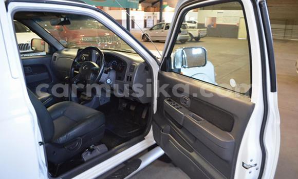 Tenga Tsaru Nissan NP 300 Chena Mota in Beitbridge in Matabeleland South Tenga Tsaru Nissan NP 300 Chena Mota in Beitbridge in Matabeleland South