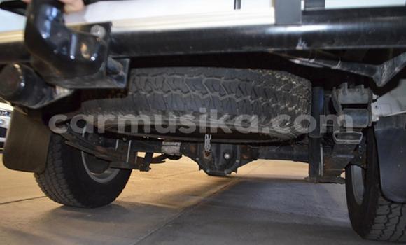 Tenga Tsaru Nissan NP 300 Chena Mota in Beitbridge in Matabeleland South Tenga Tsaru Nissan NP 300 Chena Mota in Beitbridge in Matabeleland South