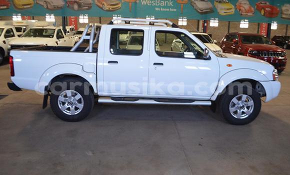 Tenga Tsaru Nissan NP 300 Chena Mota in Beitbridge in Matabeleland South Tenga Tsaru Nissan NP 300 Chena Mota in Beitbridge in Matabeleland South