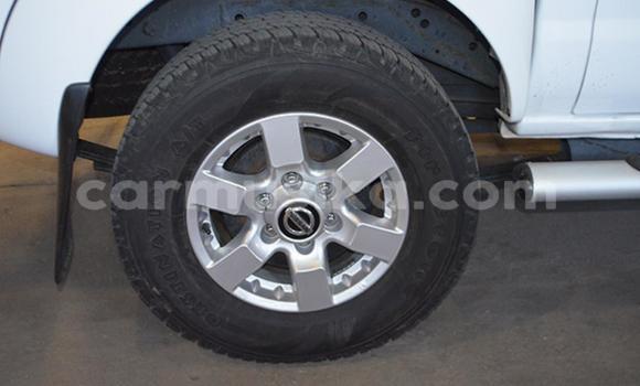 Tenga Tsaru Nissan NP 300 Chena Mota in Beitbridge in Matabeleland South Tenga Tsaru Nissan NP 300 Chena Mota in Beitbridge in Matabeleland South