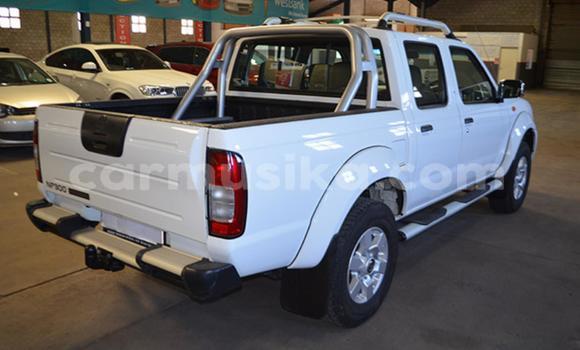 Tenga Tsaru Nissan NP 300 Chena Mota in Beitbridge in Matabeleland South Tenga Tsaru Nissan NP 300 Chena Mota in Beitbridge in Matabeleland South