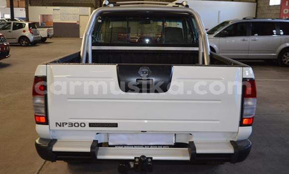 Tenga Tsaru Nissan NP 300 Chena Mota in Beitbridge in Matabeleland South Tenga Tsaru Nissan NP 300 Chena Mota in Beitbridge in Matabeleland South