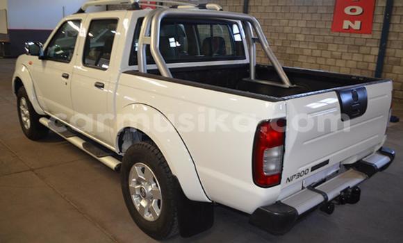 Tenga Tsaru Nissan NP 300 Chena Mota in Beitbridge in Matabeleland South Tenga Tsaru Nissan NP 300 Chena Mota in Beitbridge in Matabeleland South