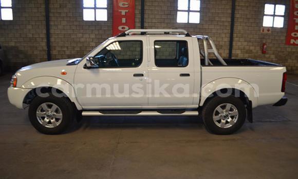 Tenga Tsaru Nissan NP 300 Chena Mota in Beitbridge in Matabeleland South Tenga Tsaru Nissan NP 300 Chena Mota in Beitbridge in Matabeleland South