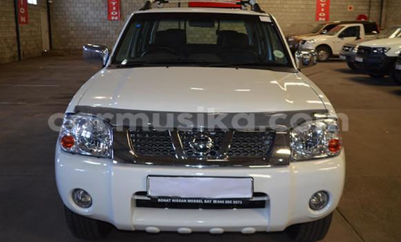 Tenga Tsaru Nissan NP 300 Chena Mota in Beitbridge in Matabeleland South Tenga Tsaru Nissan NP 300 Chena Mota in Beitbridge in Matabeleland South