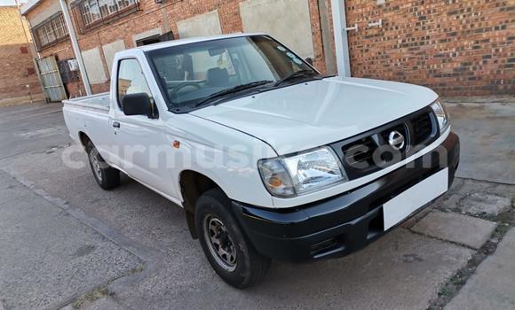 Buy Used Nissan NP 300 White Car in Beitbridge in Matabeleland South