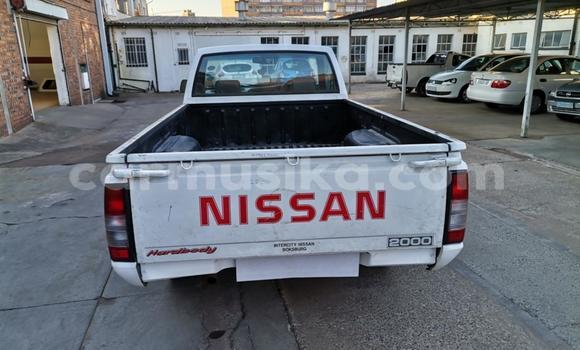 Acheter Occasion Voiture Nissan NP 300 Blanc à Beitbridge, Matabeleland South Acheter Occasion Voiture Nissan NP 300 Blanc à Beitbridge, Matabeleland South