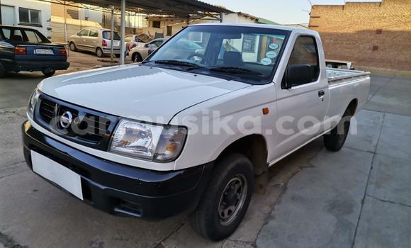 Acheter Occasion Voiture Nissan NP 300 Blanc à Beitbridge, Matabeleland South Acheter Occasion Voiture Nissan NP 300 Blanc à Beitbridge, Matabeleland South