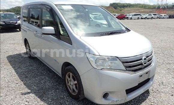 Buy Used Nissan Serena Silver Car in Beitbridge in Matabeleland South
