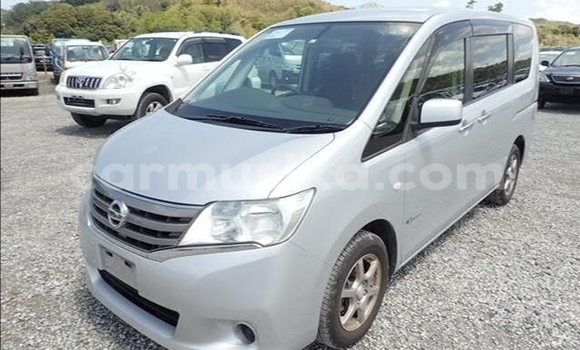 Tenga Tsaru Nissan Serena Sirivha Mota in Beitbridge in Matabeleland South Tenga Tsaru Nissan Serena Sirivha Mota in Beitbridge in Matabeleland South