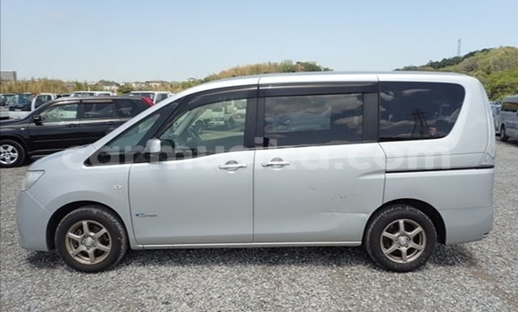 Tenga Tsaru Nissan Serena Sirivha Mota in Beitbridge in Matabeleland South Tenga Tsaru Nissan Serena Sirivha Mota in Beitbridge in Matabeleland South