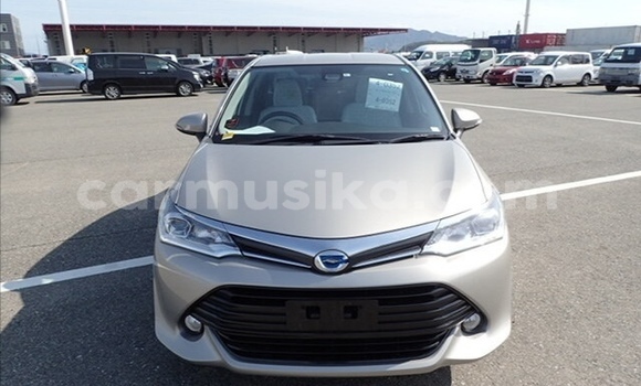 Buy Used Toyota Corolla Other Car in Beitbridge in Matabeleland South