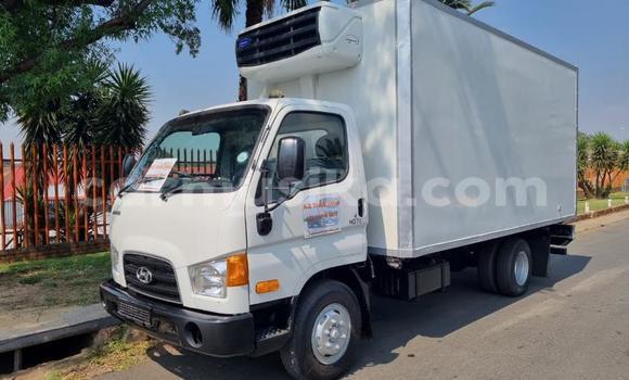 Buy Used Hyundai H200 White Car in Beitbridge in Matabeleland South