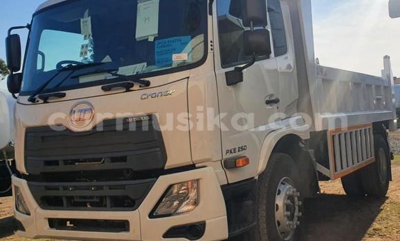 Buy Used Hino 300 White Truck in Beitbridge in Matabeleland South