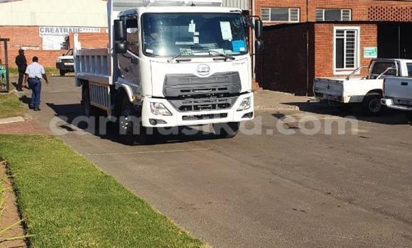 Tenga Tsaru Hino 300 Chena Rori in Beitbridge in Matabeleland South Tenga Tsaru Hino 300 Chena Rori in Beitbridge in Matabeleland South