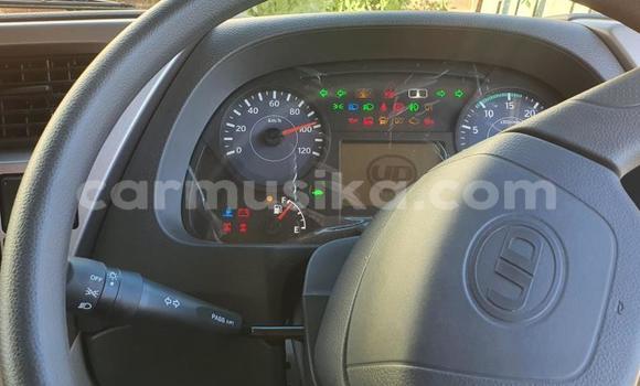 Tenga Tsaru Hino 300 Chena Rori in Beitbridge in Matabeleland South Tenga Tsaru Hino 300 Chena Rori in Beitbridge in Matabeleland South