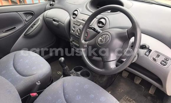 Tenga Tsaru Hino 300 Chena Rori in Beitbridge in Matabeleland South Tenga Tsaru Hino 300 Chena Rori in Beitbridge in Matabeleland South