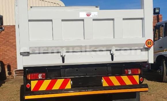 Tenga Tsaru Hino 300 Chena Rori in Beitbridge in Matabeleland South Tenga Tsaru Hino 300 Chena Rori in Beitbridge in Matabeleland South