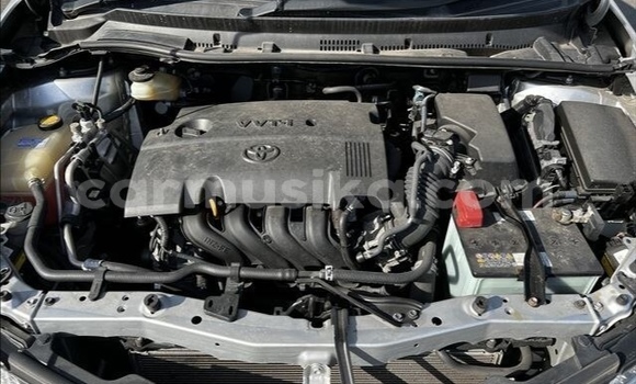 Buy Used Toyota Auris Silver Car in Beitbridge in Matabeleland South Buy Used Toyota Auris Silver Car in Beitbridge in Matabeleland South