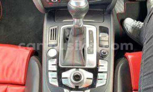 Buy Used Audi RS5 Black Car in Beitbridge in Matabeleland South Buy Used Audi RS5 Black Car in Beitbridge in Matabeleland South