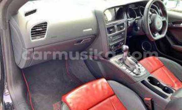 Buy Used Audi RS5 Black Car in Beitbridge in Matabeleland South Buy Used Audi RS5 Black Car in Beitbridge in Matabeleland South