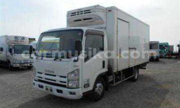 Buy Used Isuzu Elf White Truck in Beitbridge in Matabeleland South