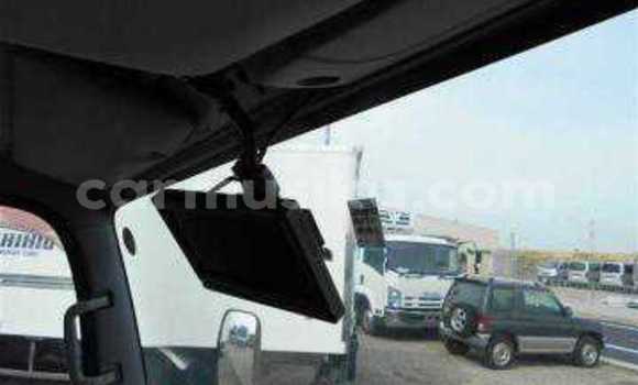 Tenga Tsaru Isuzu Elf Chena Rori in Beitbridge in Matabeleland South Tenga Tsaru Isuzu Elf Chena Rori in Beitbridge in Matabeleland South