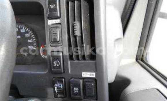 Tenga Tsaru Isuzu Elf Chena Rori in Beitbridge in Matabeleland South Tenga Tsaru Isuzu Elf Chena Rori in Beitbridge in Matabeleland South