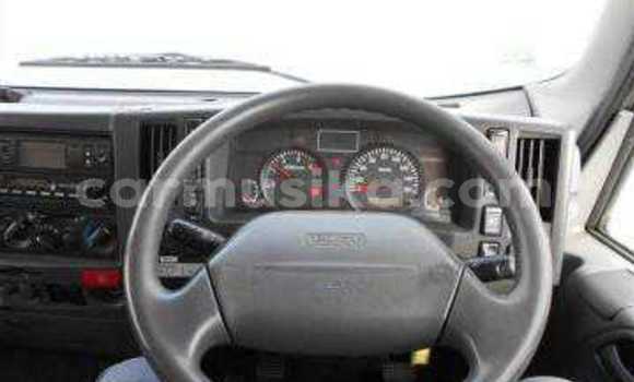 Tenga Tsaru Isuzu Elf Chena Rori in Beitbridge in Matabeleland South Tenga Tsaru Isuzu Elf Chena Rori in Beitbridge in Matabeleland South