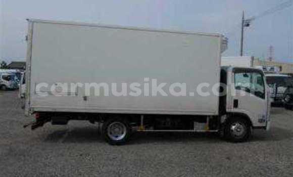 Tenga Tsaru Isuzu Elf Chena Rori in Beitbridge in Matabeleland South Tenga Tsaru Isuzu Elf Chena Rori in Beitbridge in Matabeleland South