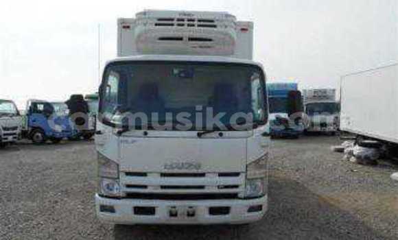 Tenga Tsaru Isuzu Elf Chena Rori in Beitbridge in Matabeleland South Tenga Tsaru Isuzu Elf Chena Rori in Beitbridge in Matabeleland South