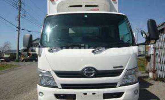 Tenga Tsaru Hino 300 Chena Rori in Beitbridge in Matabeleland South Tenga Tsaru Hino 300 Chena Rori in Beitbridge in Matabeleland South