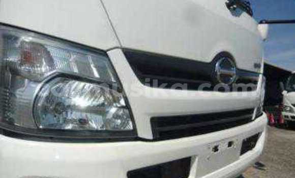 Tenga Tsaru Hino 300 Chena Rori in Beitbridge in Matabeleland South Tenga Tsaru Hino 300 Chena Rori in Beitbridge in Matabeleland South