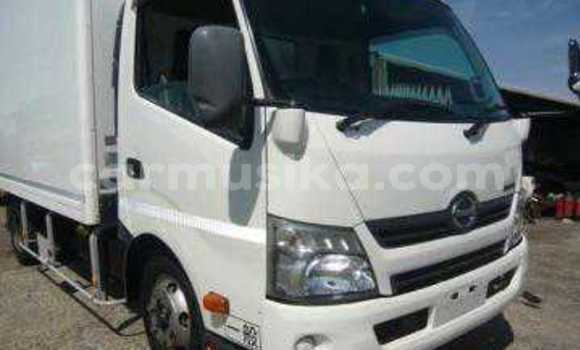 Tenga Tsaru Hino 300 Chena Rori in Beitbridge in Matabeleland South Tenga Tsaru Hino 300 Chena Rori in Beitbridge in Matabeleland South