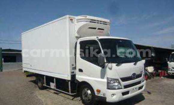 Tenga Tsaru Hino 300 Chena Rori in Beitbridge in Matabeleland South Tenga Tsaru Hino 300 Chena Rori in Beitbridge in Matabeleland South