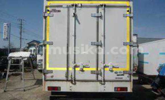 Tenga Tsaru Hino 300 Chena Rori in Beitbridge in Matabeleland South Tenga Tsaru Hino 300 Chena Rori in Beitbridge in Matabeleland South