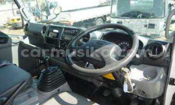 Tenga Tsaru Hino 300 Chena Rori in Beitbridge in Matabeleland South Tenga Tsaru Hino 300 Chena Rori in Beitbridge in Matabeleland South