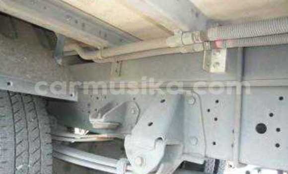 Tenga Tsaru Hino 300 Chena Rori in Beitbridge in Matabeleland South Tenga Tsaru Hino 300 Chena Rori in Beitbridge in Matabeleland South