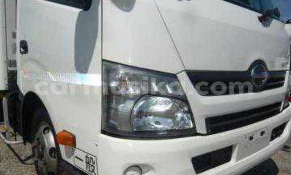 Tenga Tsaru Hino 300 Chena Rori in Beitbridge in Matabeleland South Tenga Tsaru Hino 300 Chena Rori in Beitbridge in Matabeleland South